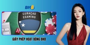 giay-phep-hoat-dong-bk8 (1)